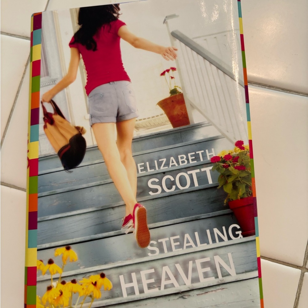Stealing Heaven colorful chapter book kids children travel story teen growth